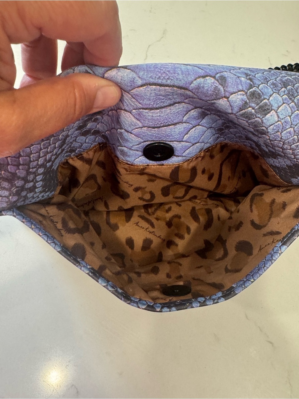Aimee Kesterberg, NWOT clutch/shoulder bag - Picture 6 of 12